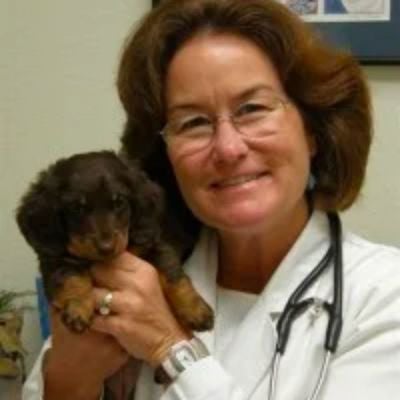 Dr. Mary Gibbs<br/>DVM, MS photo